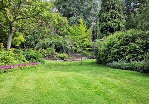 Optimiser l'expérience du jardin à Retonval